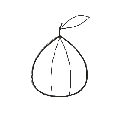 Illustration dessinée à la plume : figue