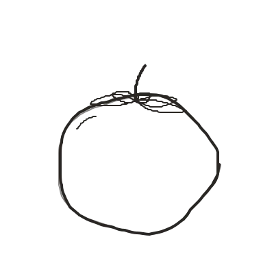 Illustration dessinée à la plume : tomate